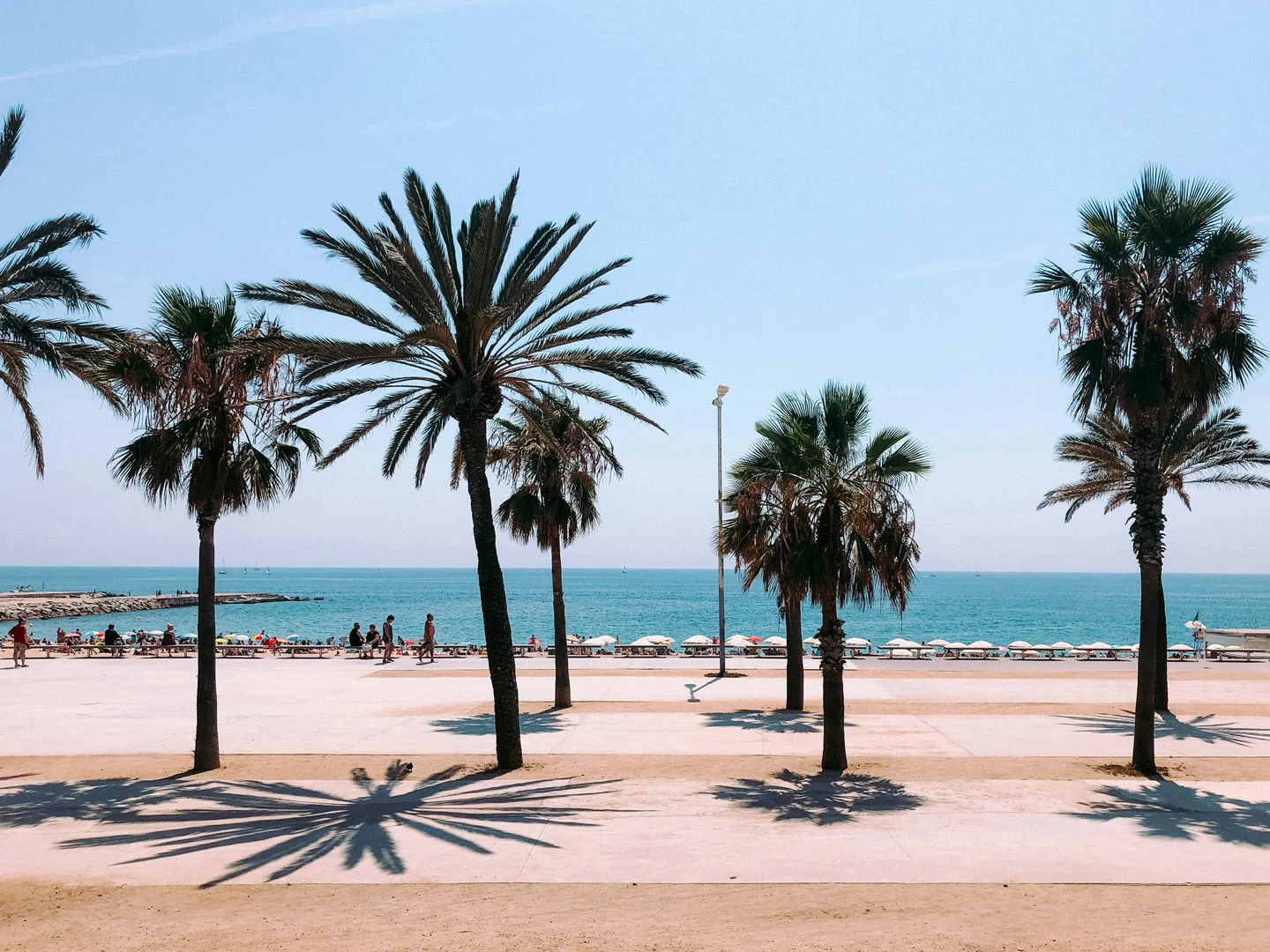 spanje_header-boulevard